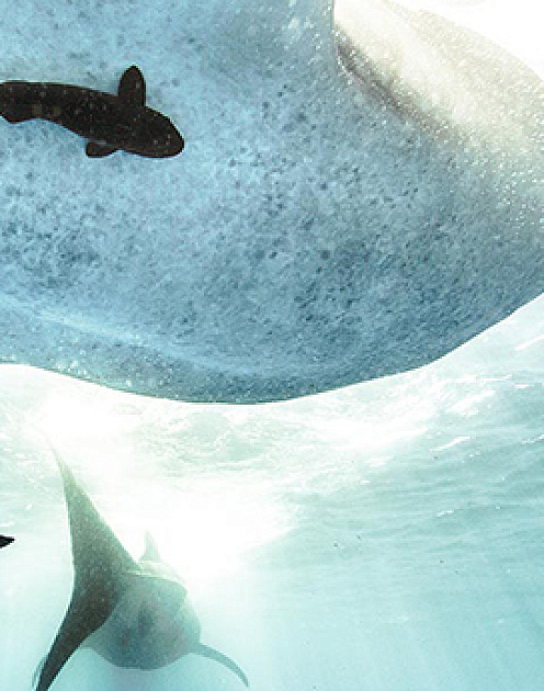 Нетворкинг: 4 способа избавиться от назойливого собеседника