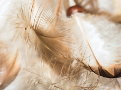 Фидбэк: бережно и эффективно