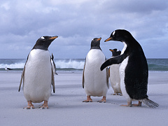 Пять шагов, которые помогут наладить доверительные отношения с кем угодно