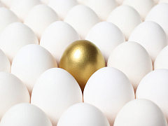 Пять секретов лучших специалистов по продажам