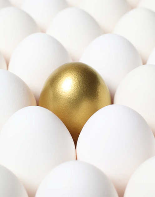 Пять секретов лучших специалистов по продажам