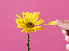 Как создавать новое, отказываясь от ненужного