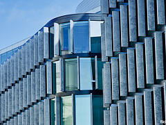 Российские компании vs западные: где лучше строить карьеру?