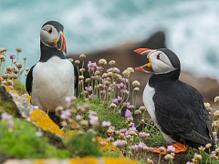 Сила слов: как метафоры могут изменить организацию