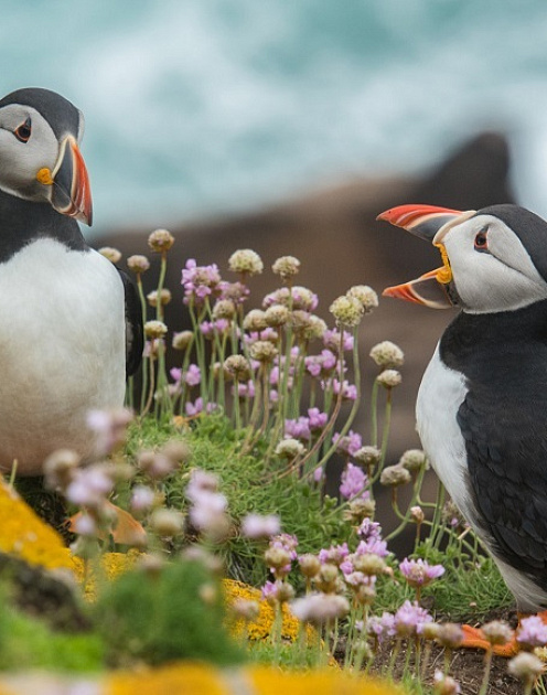Сила слов: как метафоры могут изменить организацию
