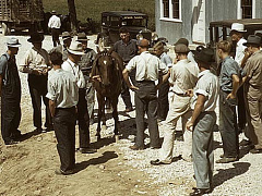 Как компаниям заработать в неспокойные времена