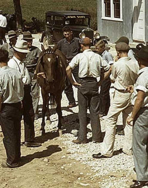 Как компаниям заработать в неспокойные времена