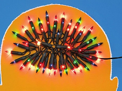 Нейронные сети: как работает мозг