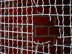 Два способа вернуть доверие своего босса