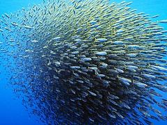 Кому выгодна экономика, где сотрудник и работодатель — на равных