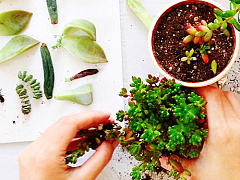 Платформа как подрывной рынок