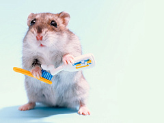 Мал, да дорог: как заработать на любви покупателей к мини-упаковкам