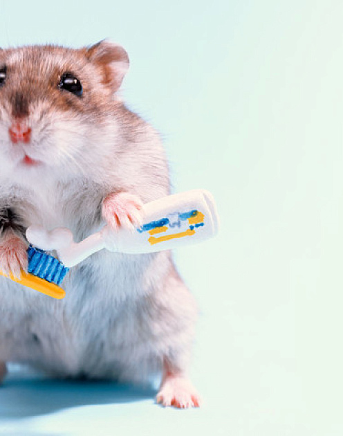 Мал, да дорог: как заработать на любви покупателей к мини-упаковкам