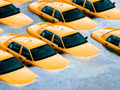 Когда сотрудникам лучше остаться дома