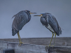 Шесть советов для эффективных совещаний