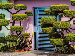 Четыре типа неповоротливых организаций