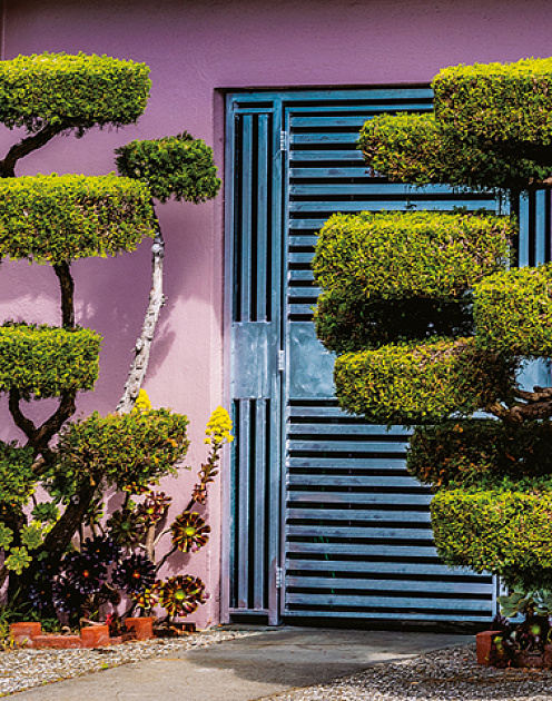 Четыре типа неповоротливых организаций