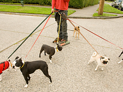 Почему свобода может вредить