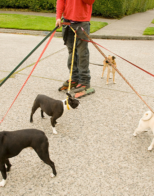 Почему свобода может вредить