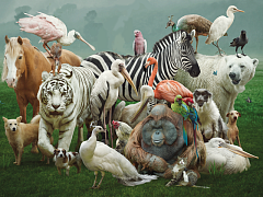 Лидер не нужен