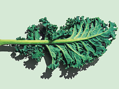 Мир в руках маркетологов