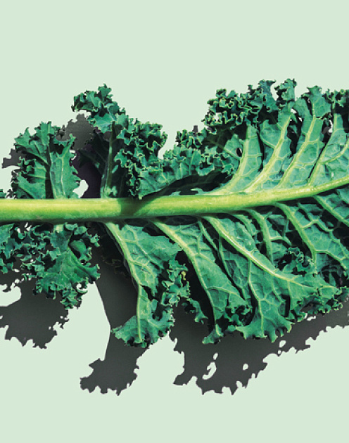 Мир в руках маркетологов