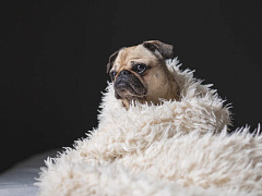 Чем может обернуться мягкость на переговорах