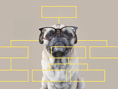 Медитация для главного