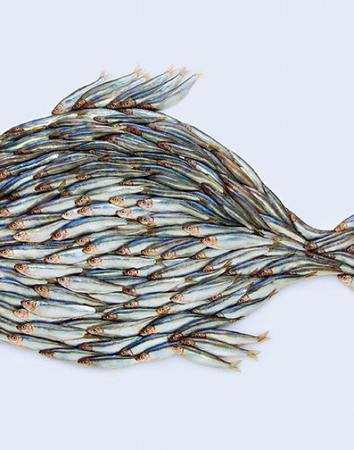 Зачем компаниям платить за коворкинги