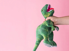 «Они слишком жестко ведут себя с людьми»