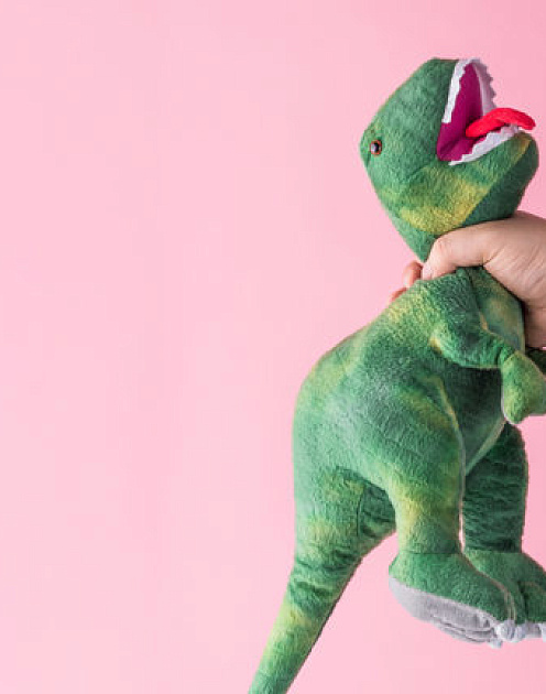 «Они слишком жестко ведут себя с людьми»