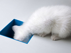 Какие профессии подойдут тем, кто все время отвлекается