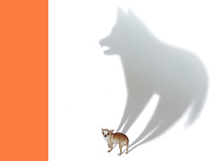 Что делать, если вас поймали на лжи