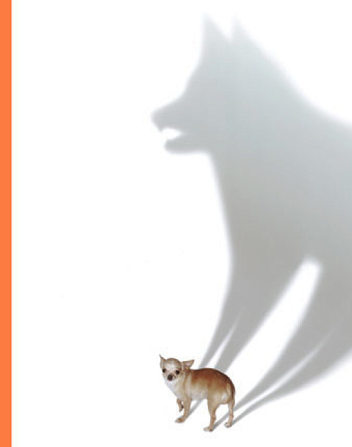 Что делать, если вас поймали на лжи