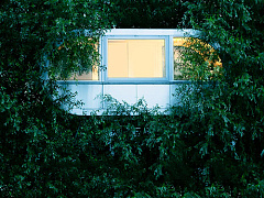 Медитация на службе корпораций: за и против