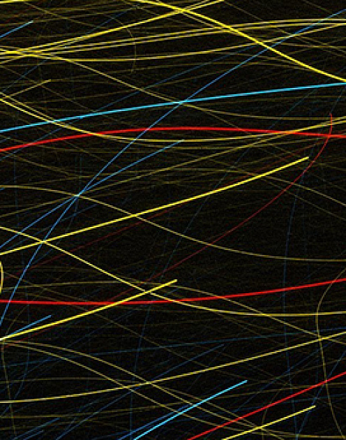 Как связаны командная креативность и инновации