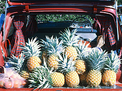 Доставка еды от Uber: новая стратегия или неудачный эксперимент?