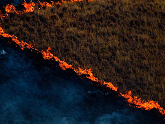 Годы идут, а глобальные проблемы остаются