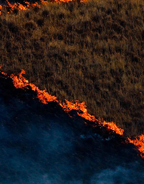 Годы идут, а глобальные проблемы остаются