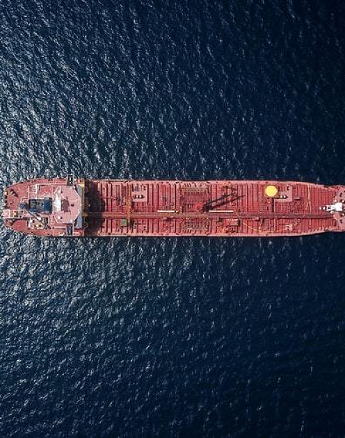 Ковчег для бизнеса: как применить стратегию Ноя в 2020 году