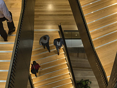 CEO, вам нужен ментор