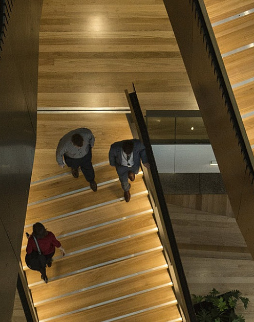 CEO, вам нужен ментор