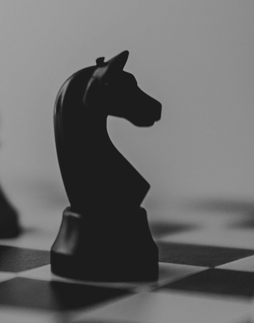 Как «темные лошадки» переписывают сценарий успеха