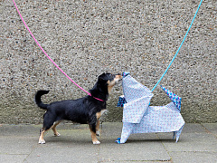 Проверка на аутентичность: какие качества компании нужны потребителям