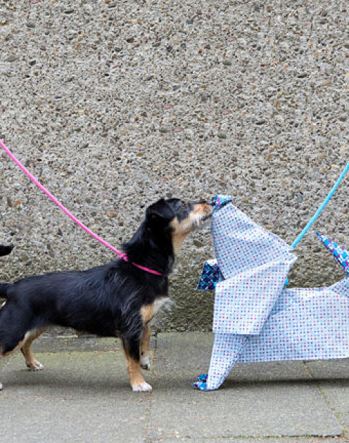 Проверка на аутентичность: какие качества компании нужны потребителям