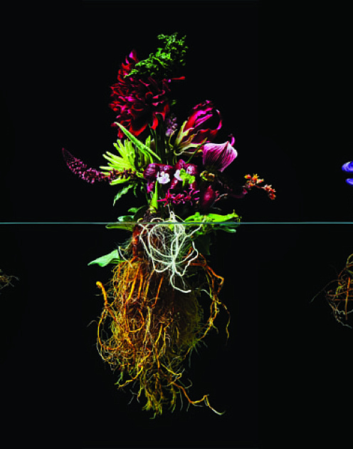 Перейти на светлую сторону