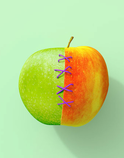 Почему слияния и поглощения часто заканчиваются провалом