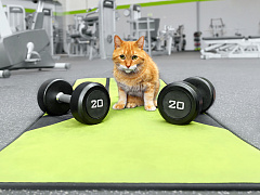 Марафон неудач: почему вы должны привыкнуть к микропоражениям