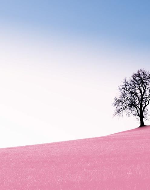 Быть интровертом