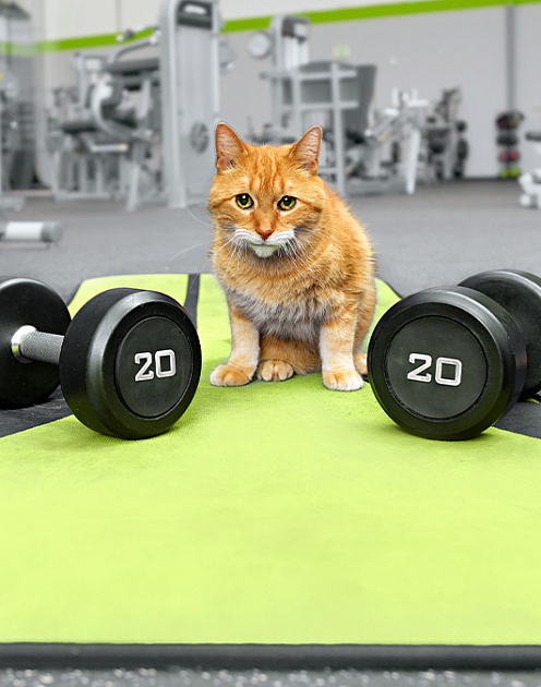 Марафон неудач: почему вы должны привыкнуть к микропоражениям